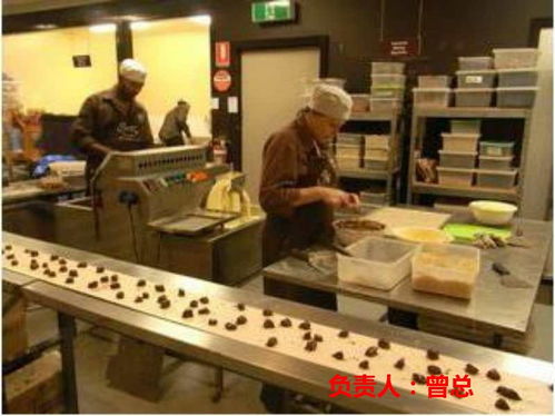 探索海外就業(yè)機遇 常州赴德國勞務與挪威清真食品廠招聘解析